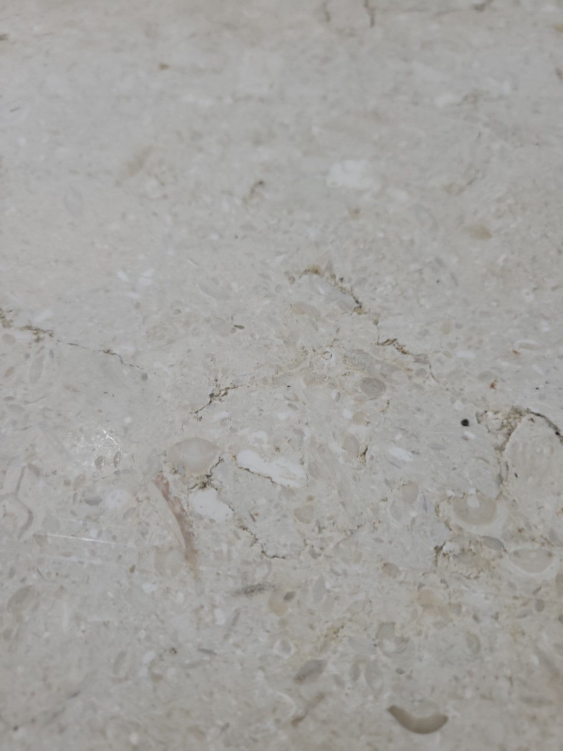 Beige Fossil Limestone Slab – 43 ½" x 11 ½" x 1"