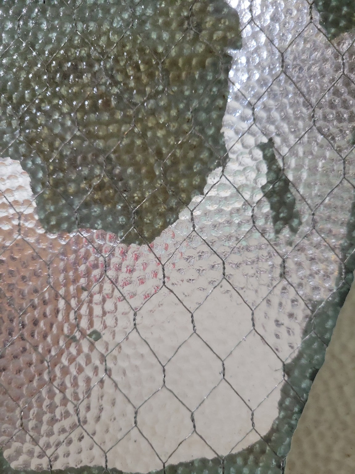 Antique 1-Panel Wood Door with Wired Textured Glass Upper Panel – Green Painted Finish