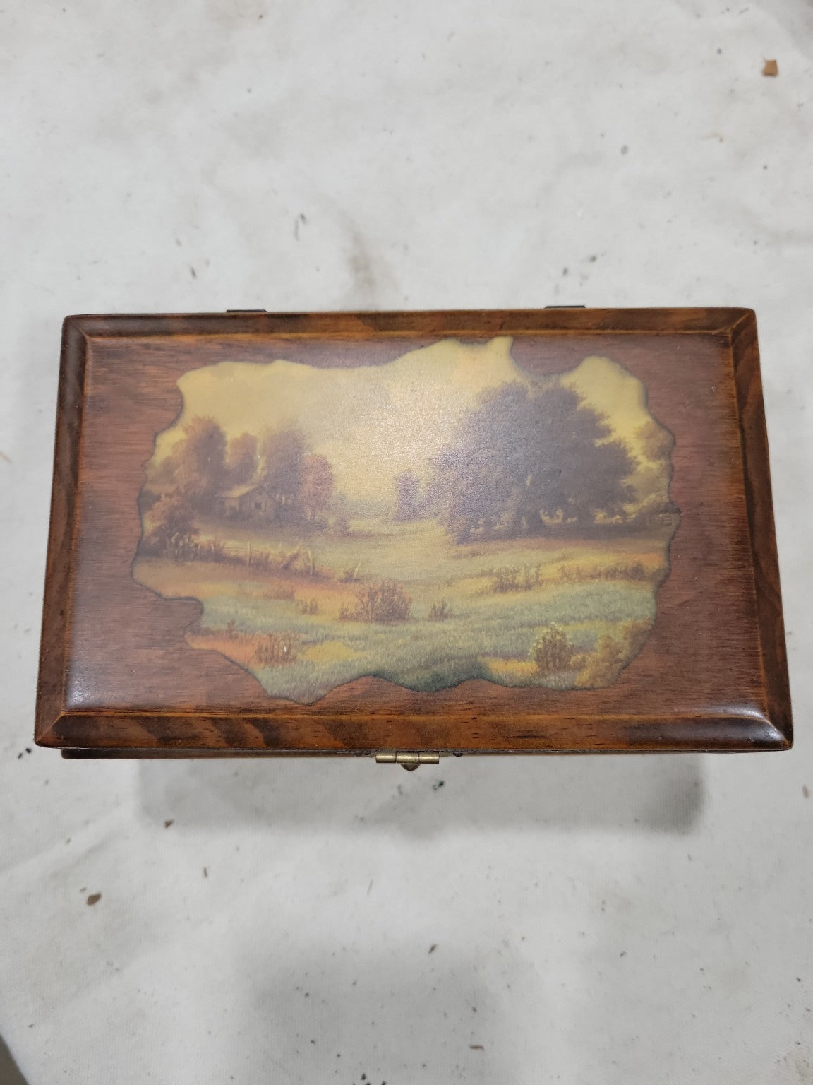 Handmade Reuge Swiss Music Box – The Sound of Music with Scenic Lid and Floral Trim