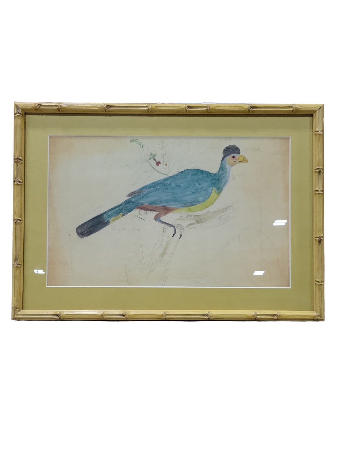 Soicher Marin Framed Bird Illustration – Faux Bamboo Frame
