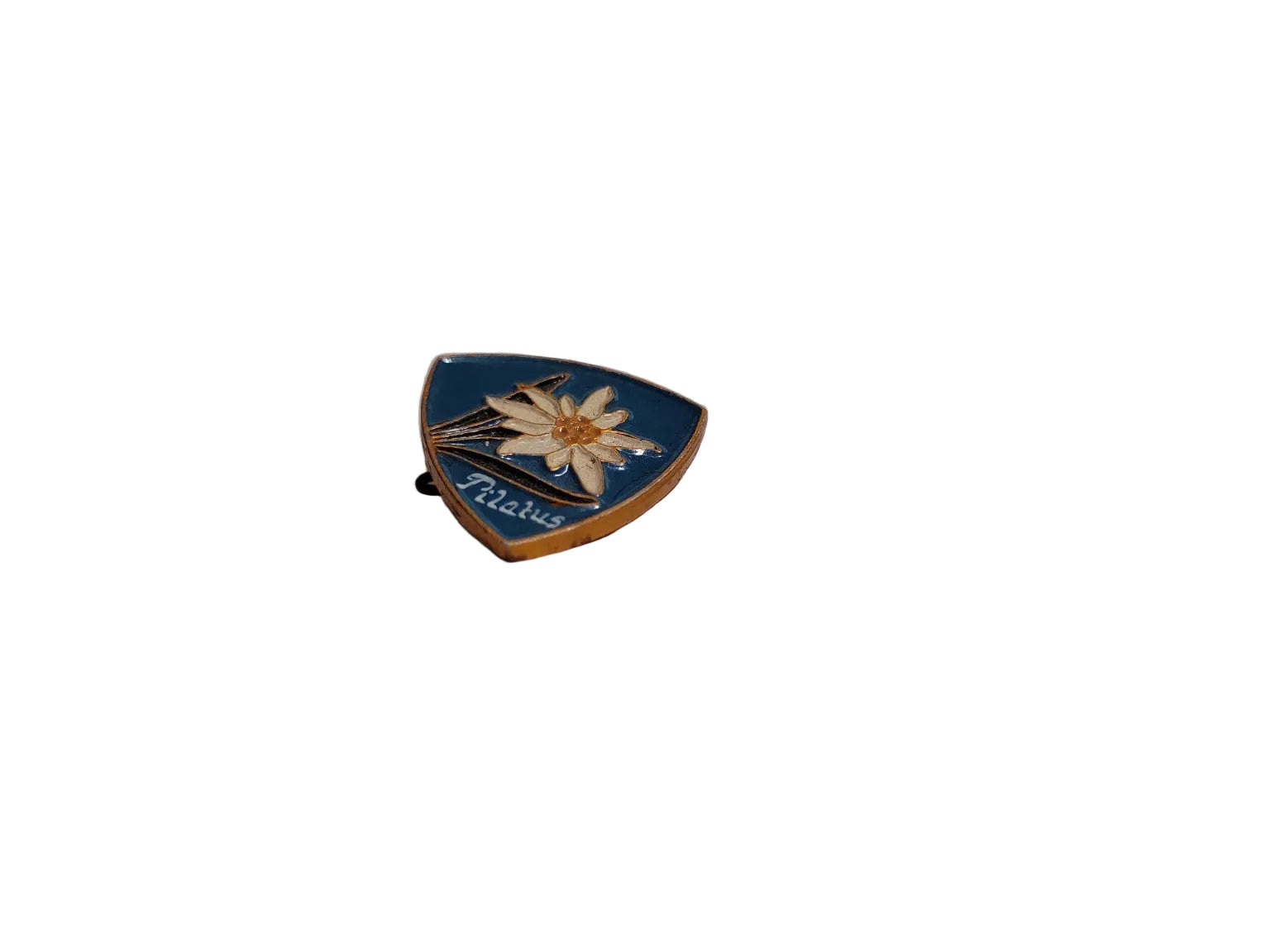 Vintage Tilatus Edelweiss Enamel Brooch – Alpine Souvenir Pin