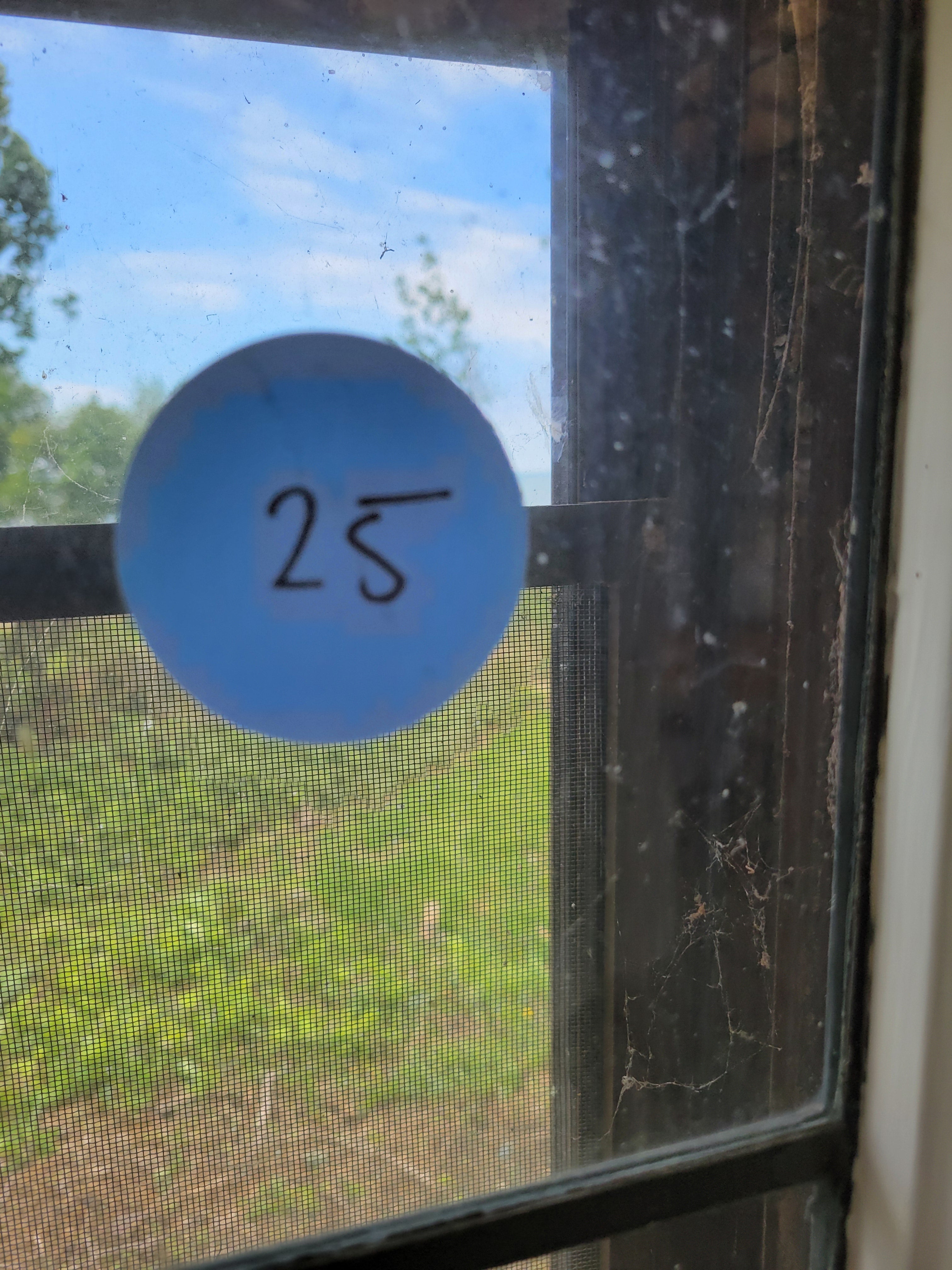 #25 Antique Leaded Glass Picture Window<
