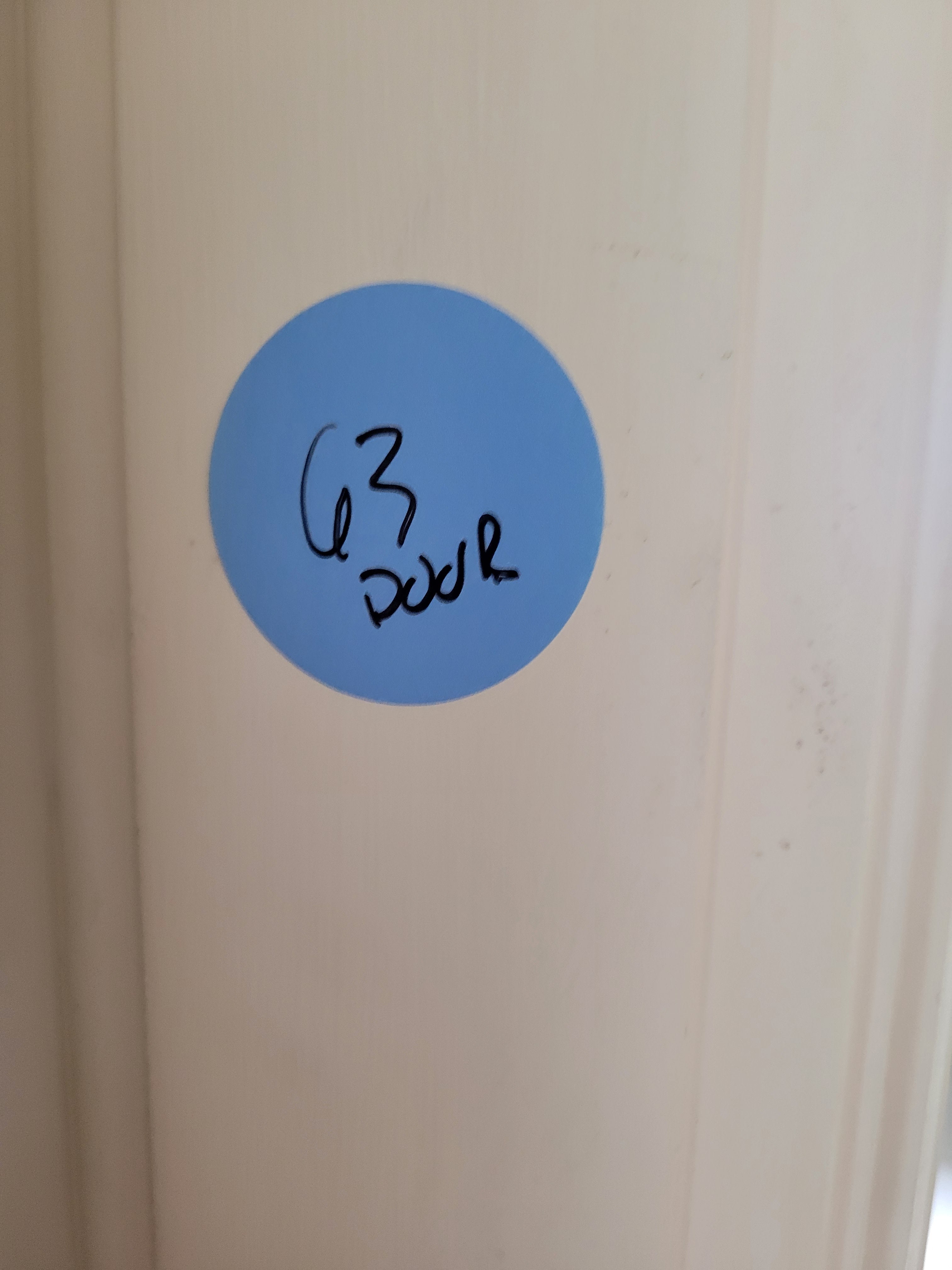 #63 Painted Two-Panel Interior Door