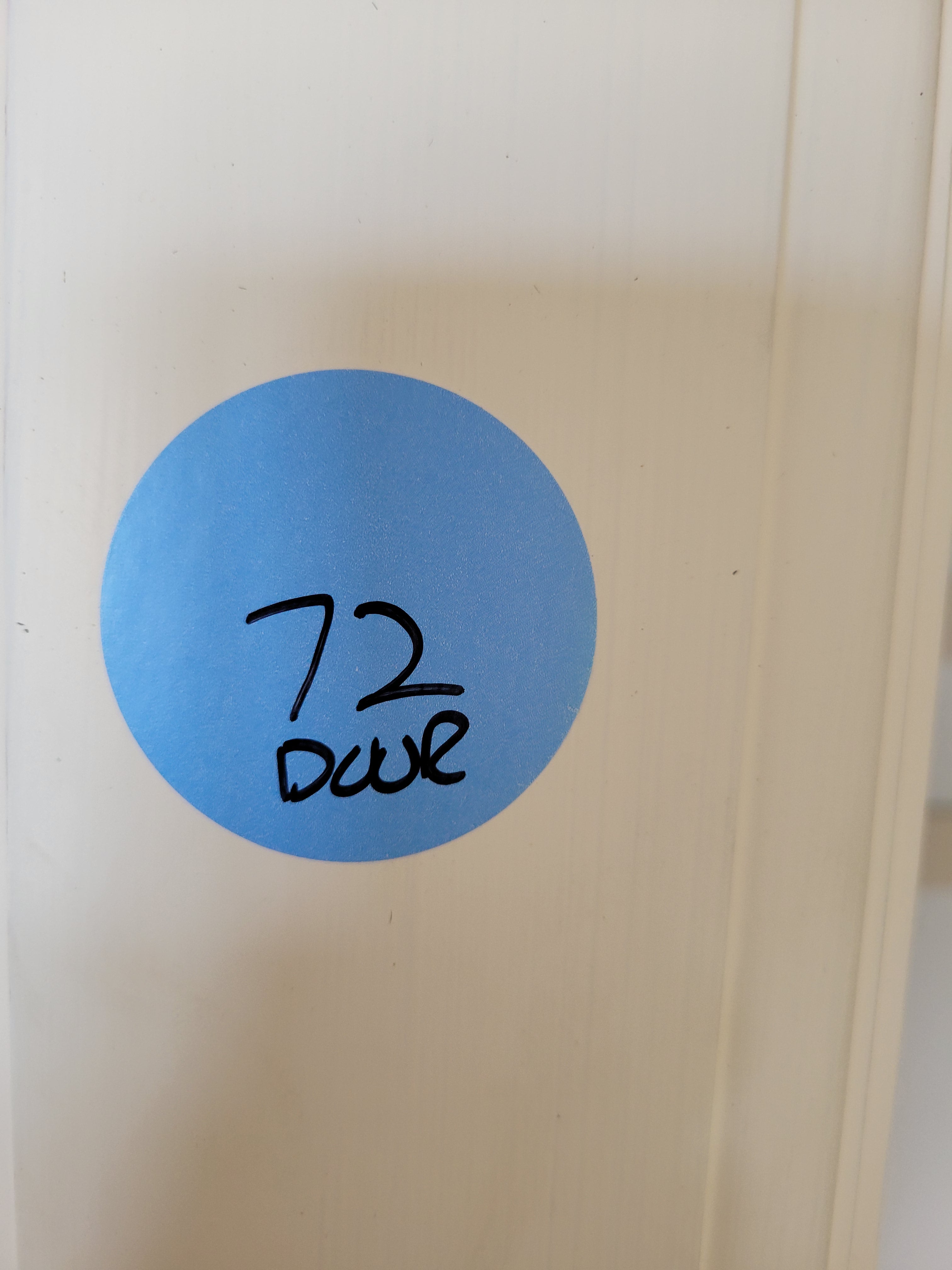 #72 Painted Two-Panel Interior Door with Glass Knob