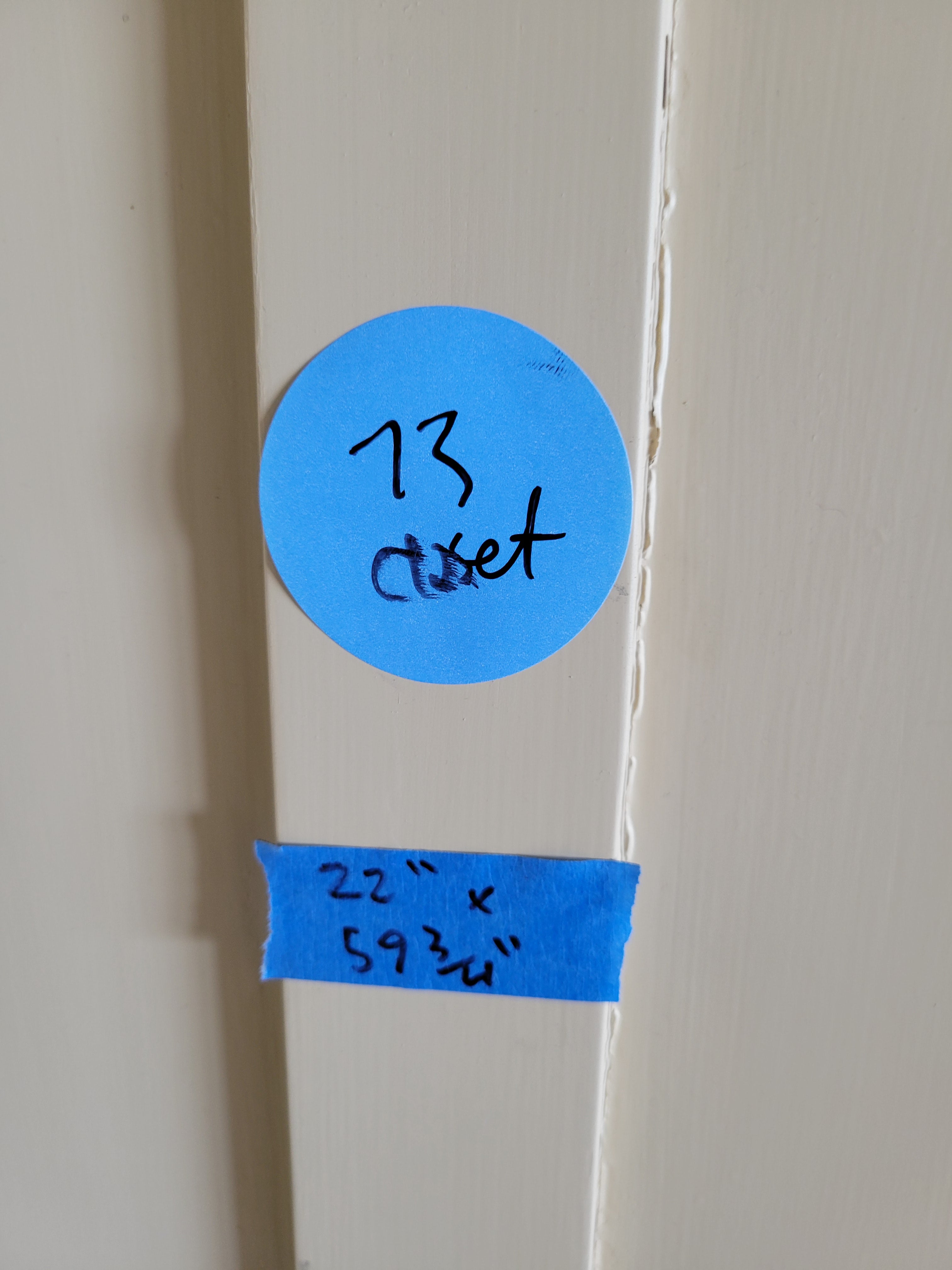 #73 Painted Narrow Closet Door Panel