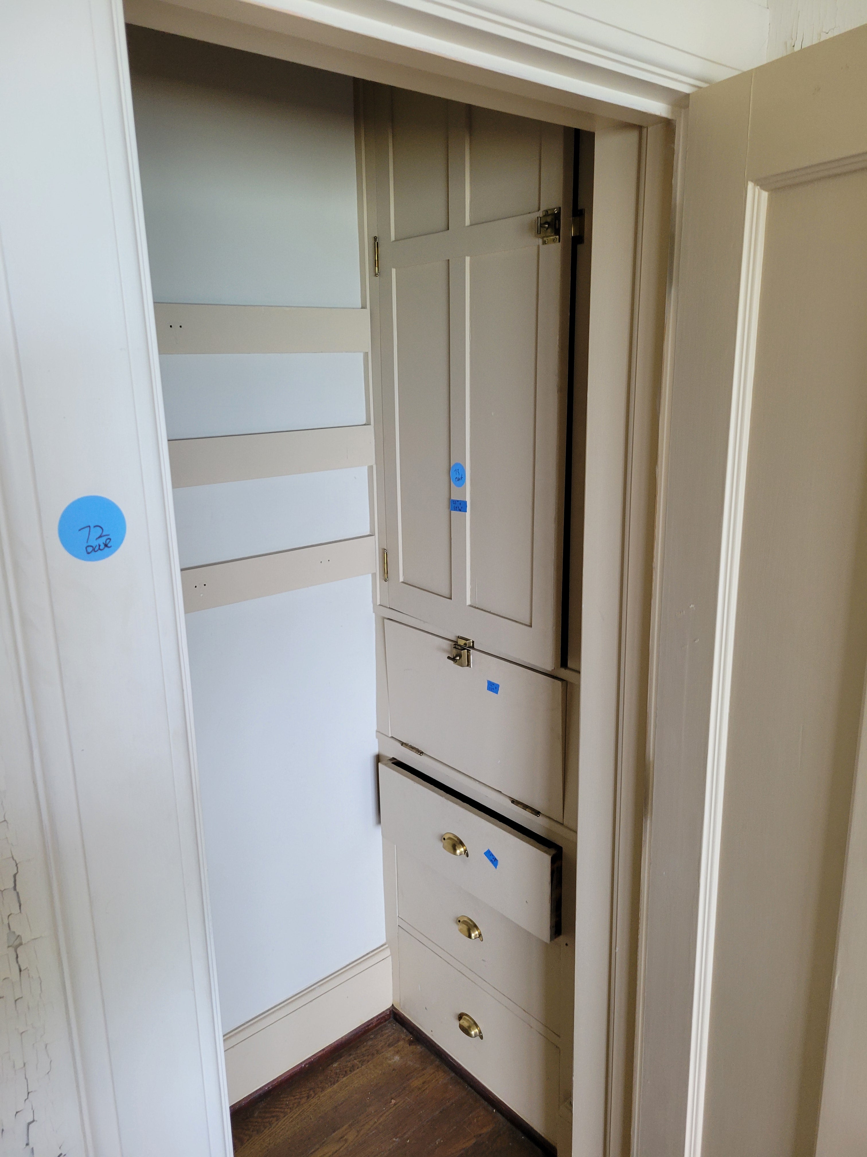 #73 Painted Narrow Closet Door Panel
