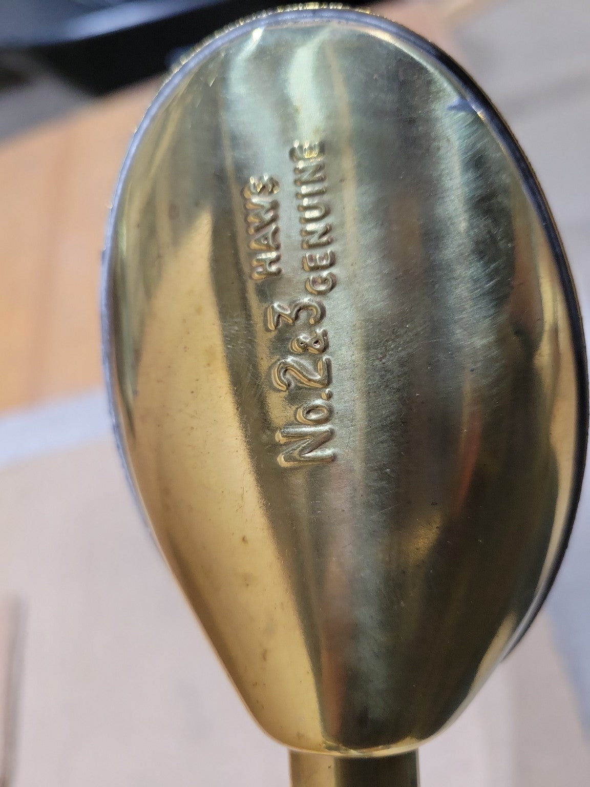 Haws Long Reach Galvanized Watering Can with Brass Rose