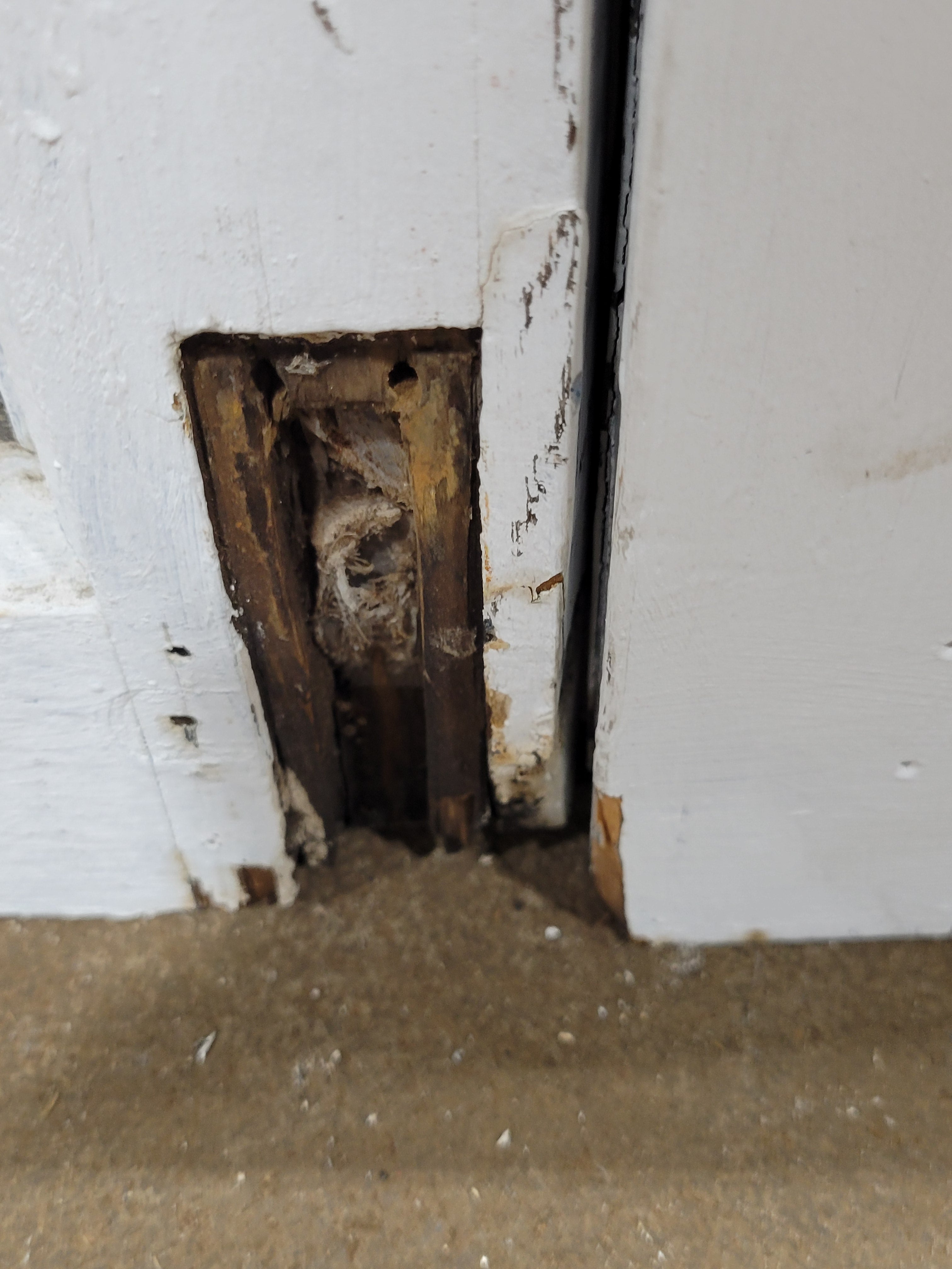 Vintage 12-Lite Wood Cabinet Door Pair with Original Hardware