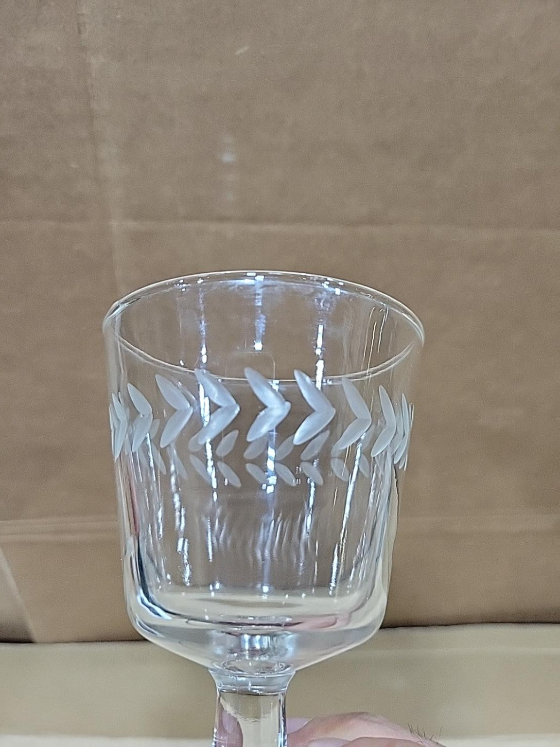 Vintage Etched Leaf Crystal Goblets – Set of 11