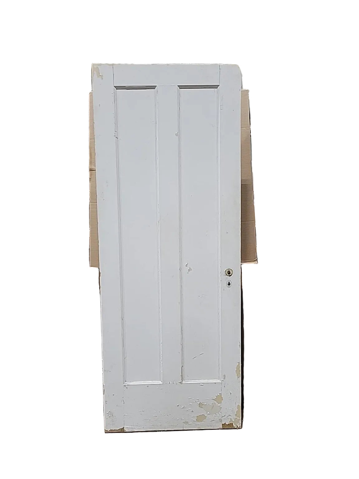 Vintage White Two-Panel Wood Interior Door