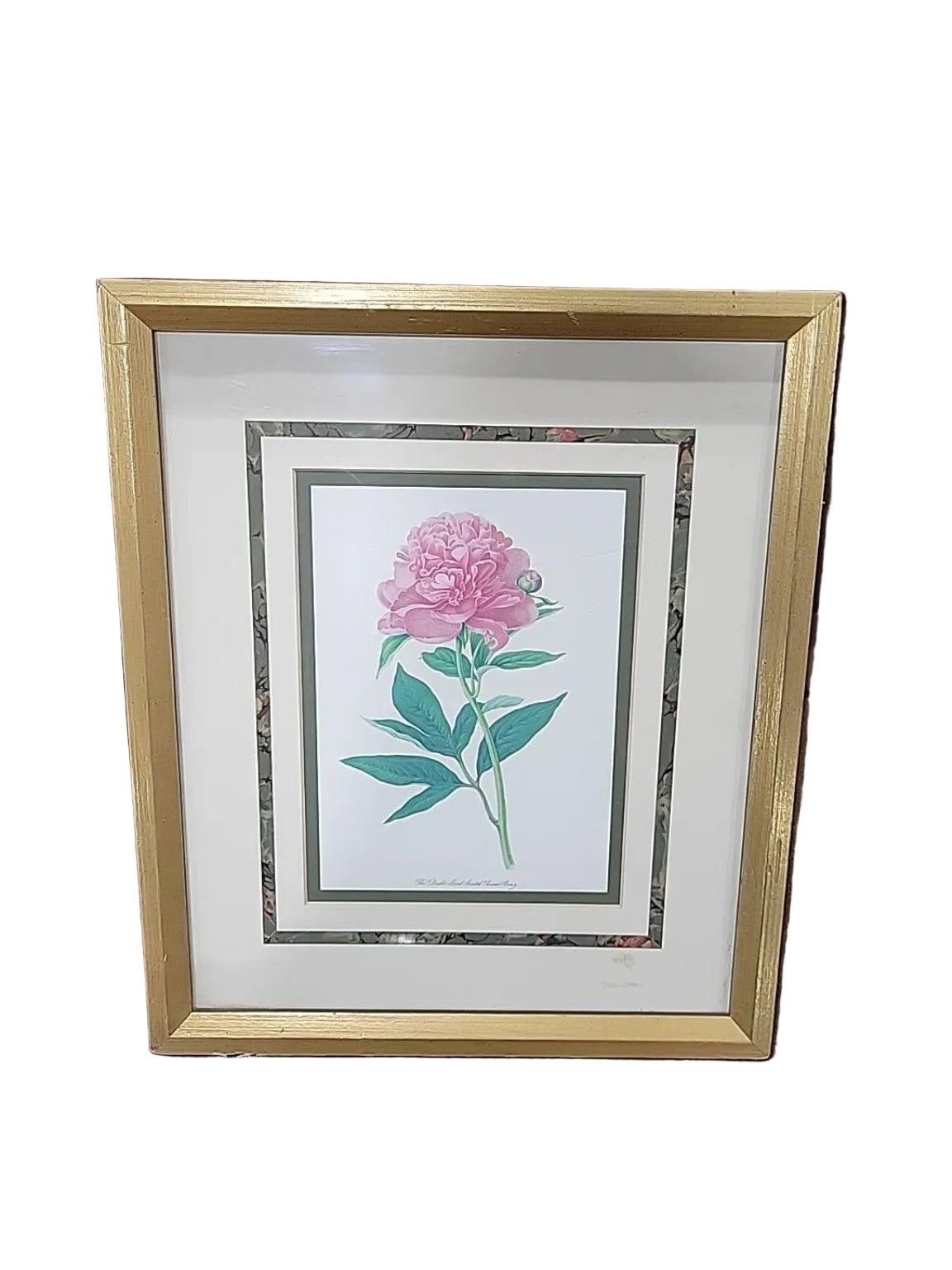Met Museum Double Sweet-Scented Chinese Peony Print