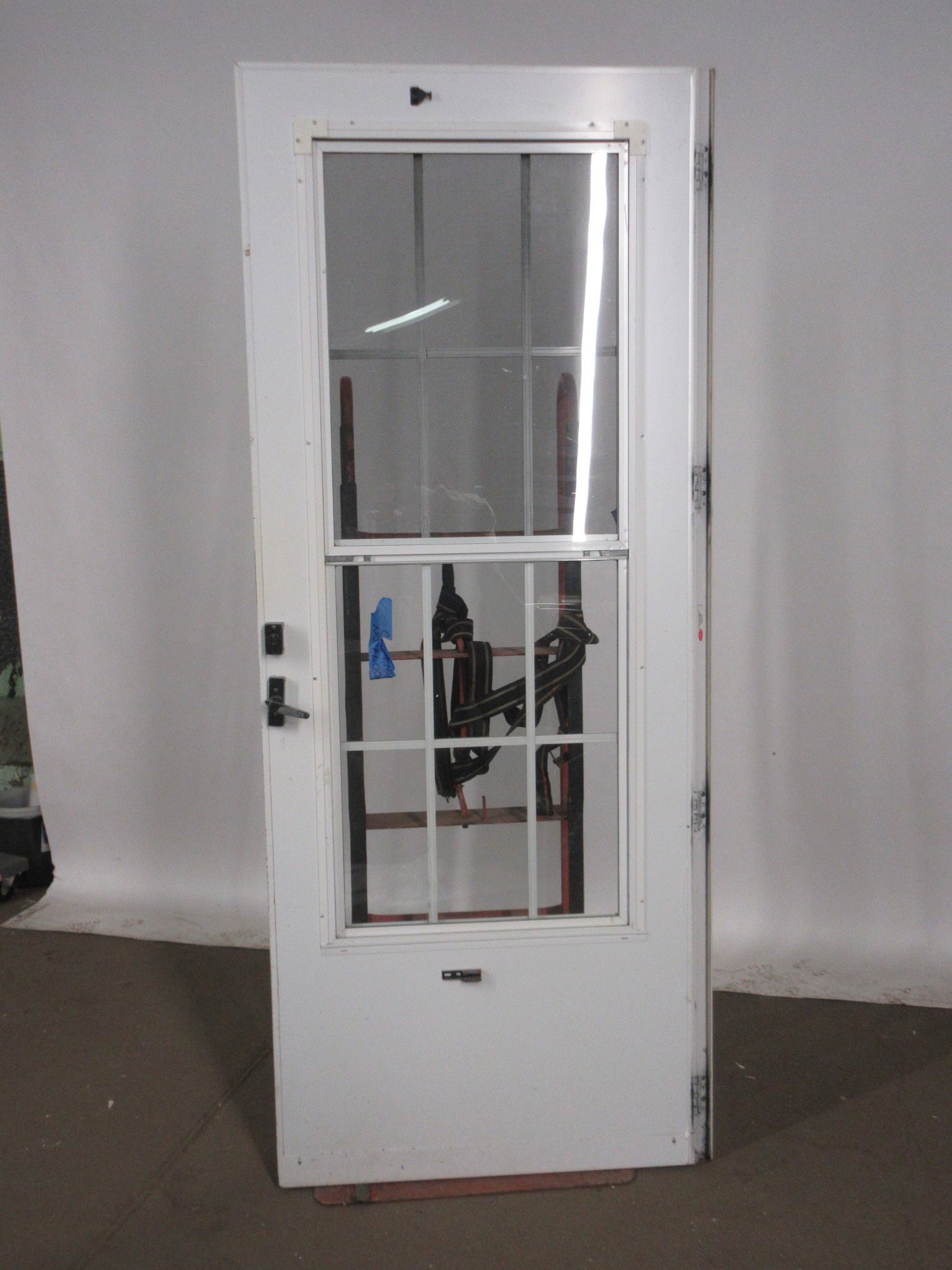 12 Lite Storm Door