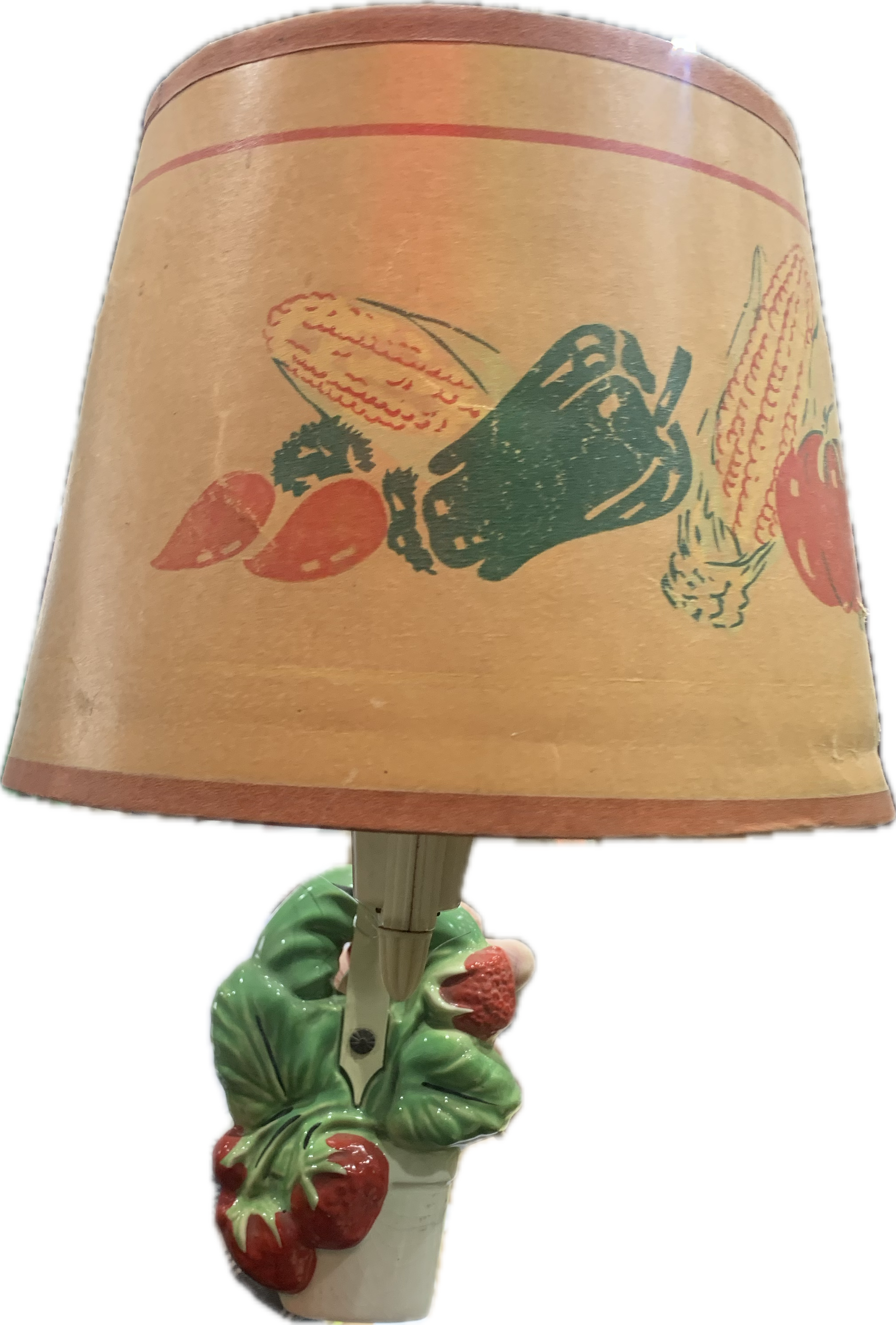 Pair Vintage Wall Sconce with Shades