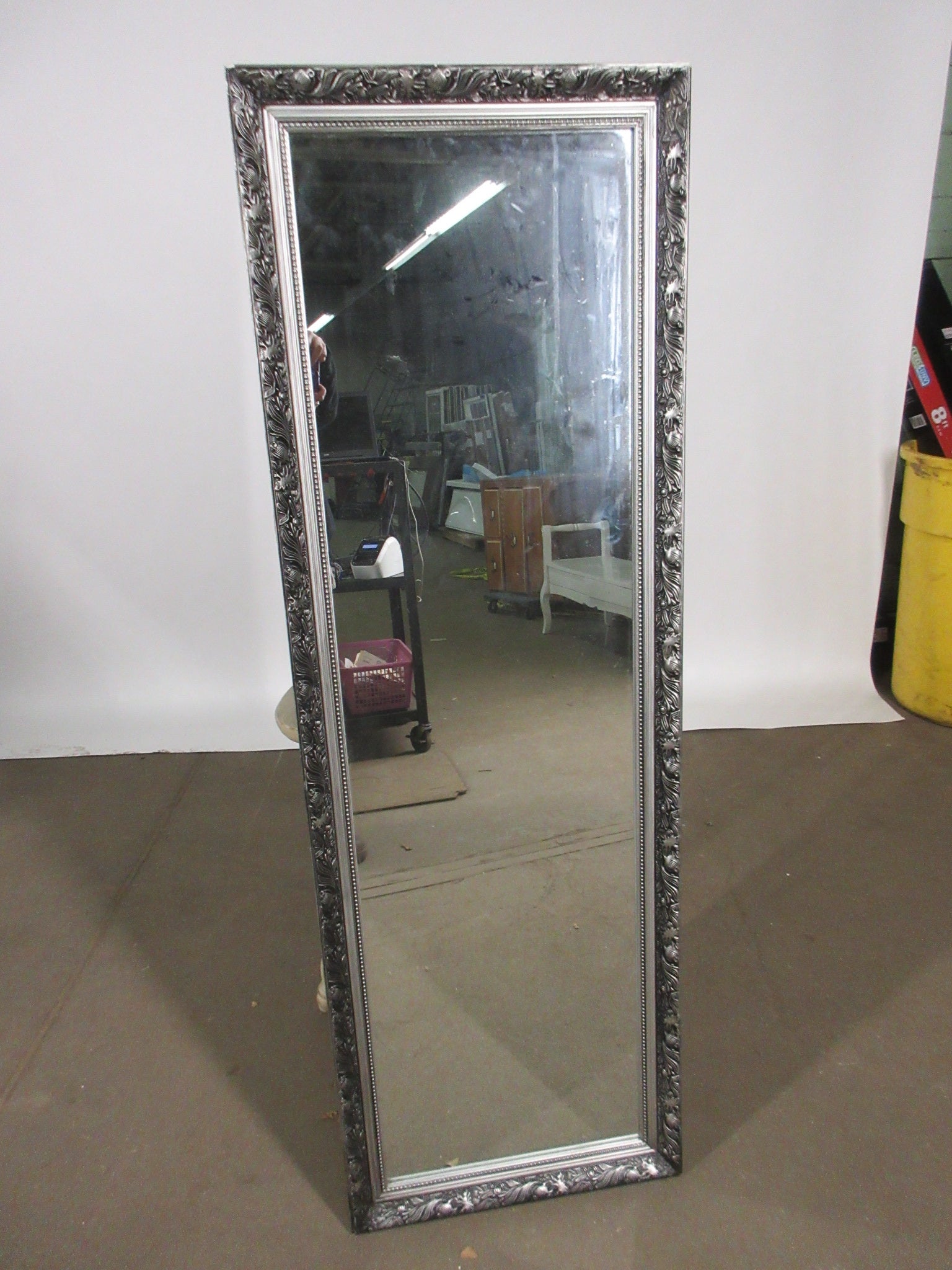 Decorative Frame Floor/Wall Mirror