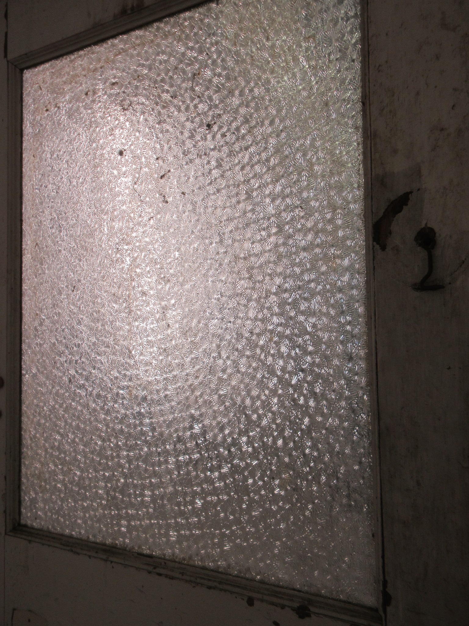 Three Panel Privacy Glass Door