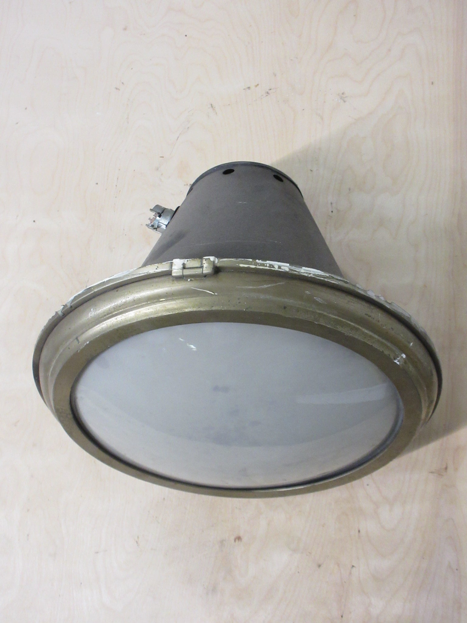 Brass Accent Industrial Light