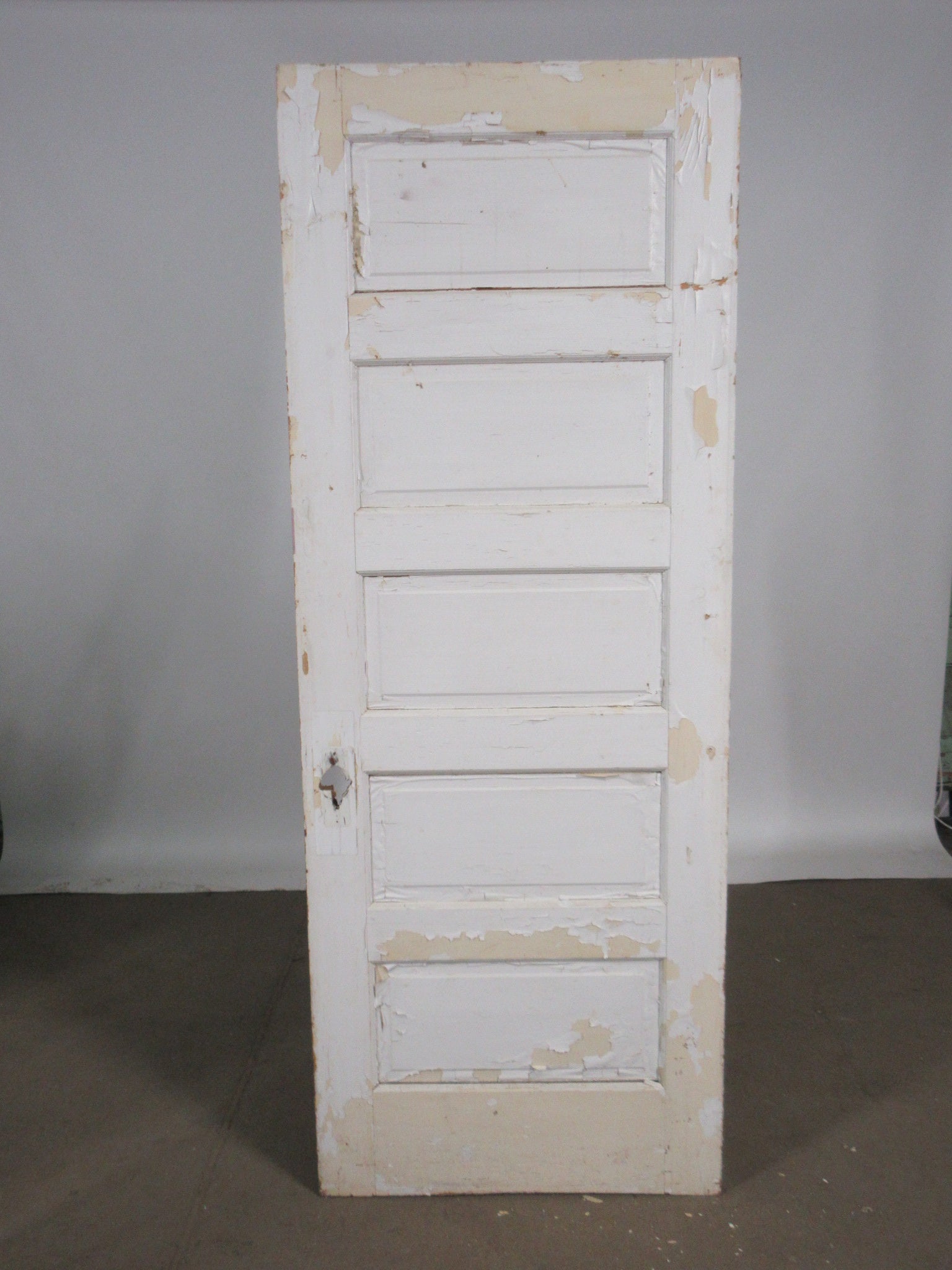 Painted Five Panel Interior Door