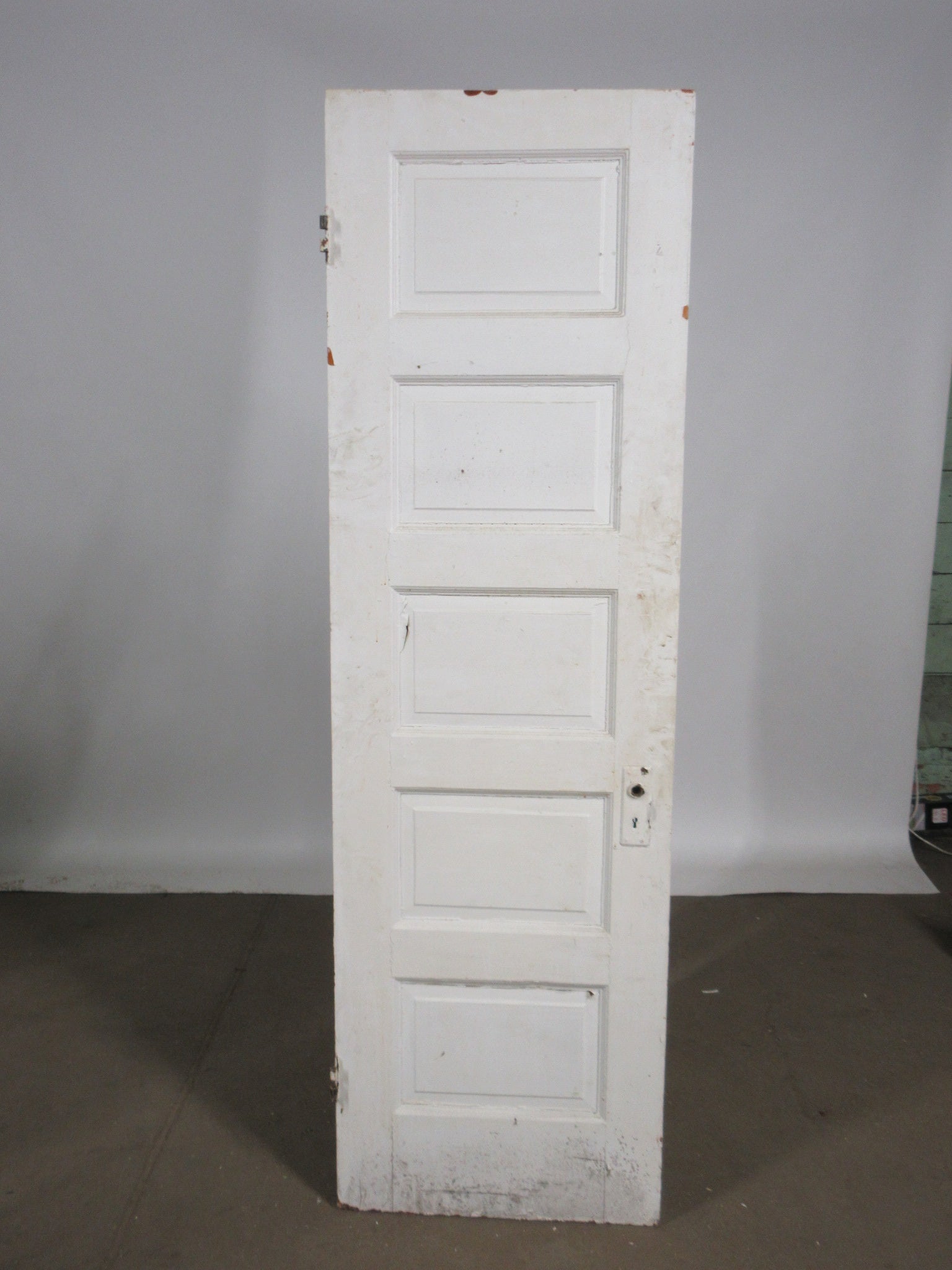 Five Panel Painted Interior Door