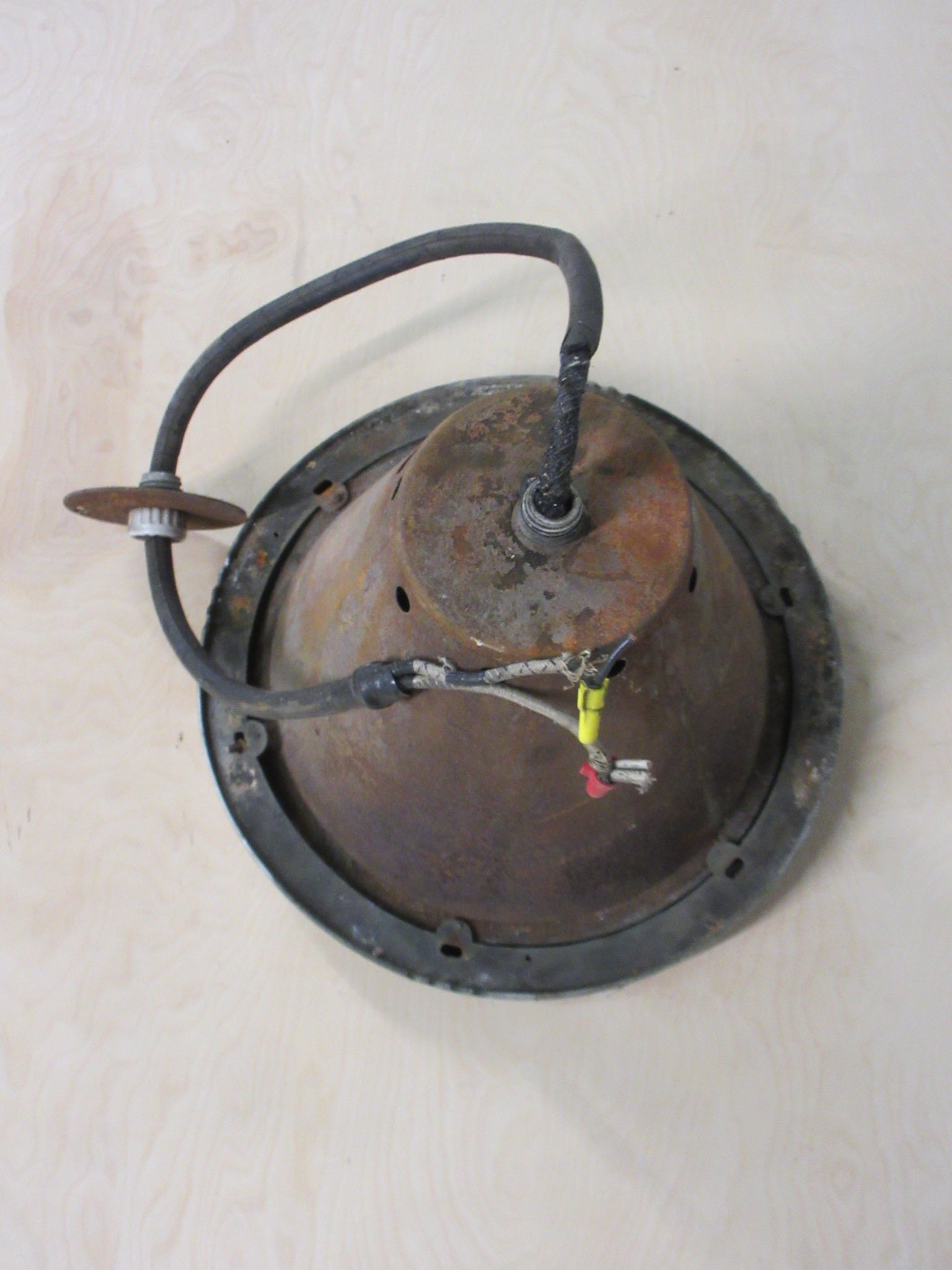 Industrial Light Fixture with Ceiling Plate