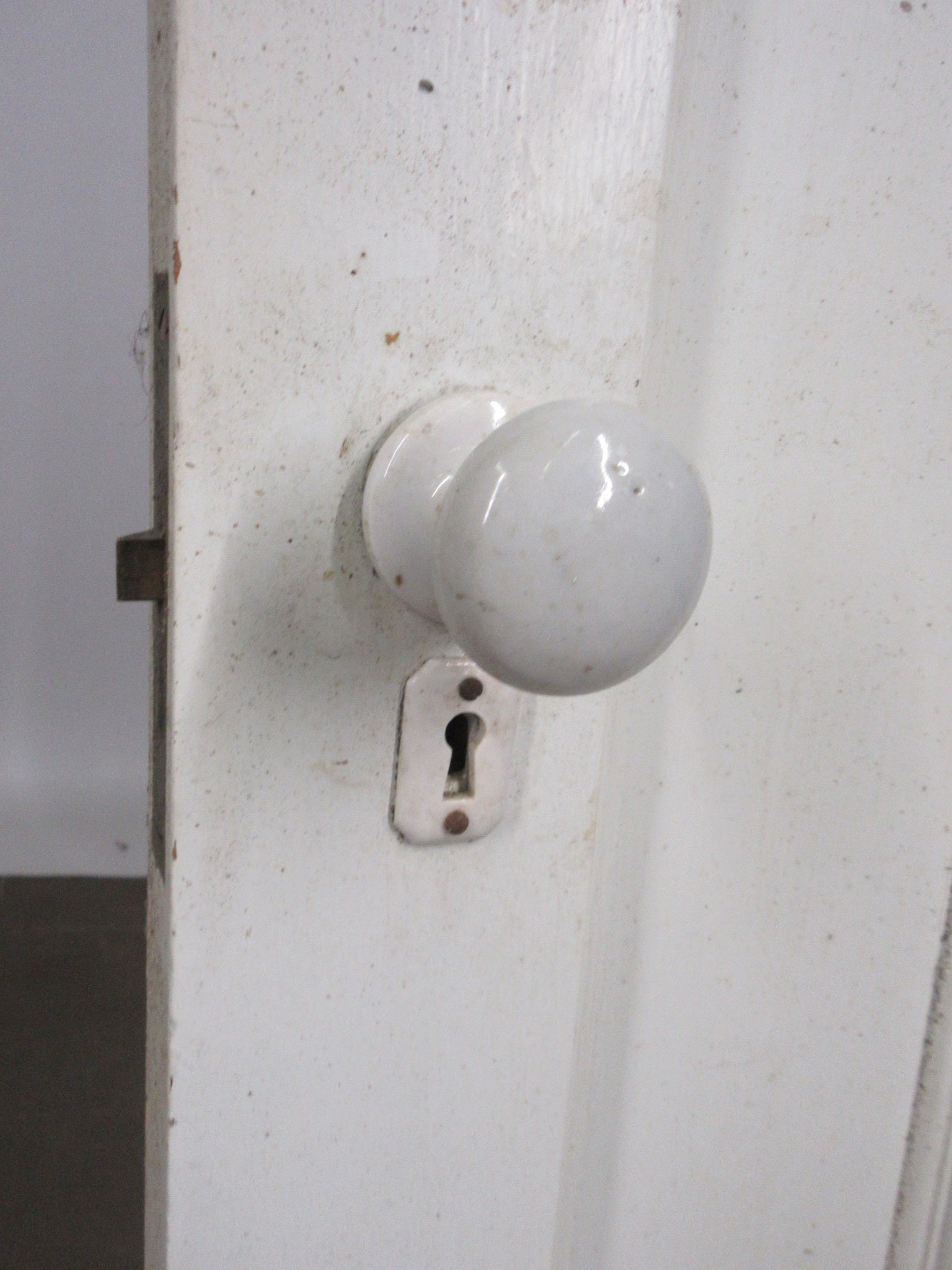 Two Panel Door 89"