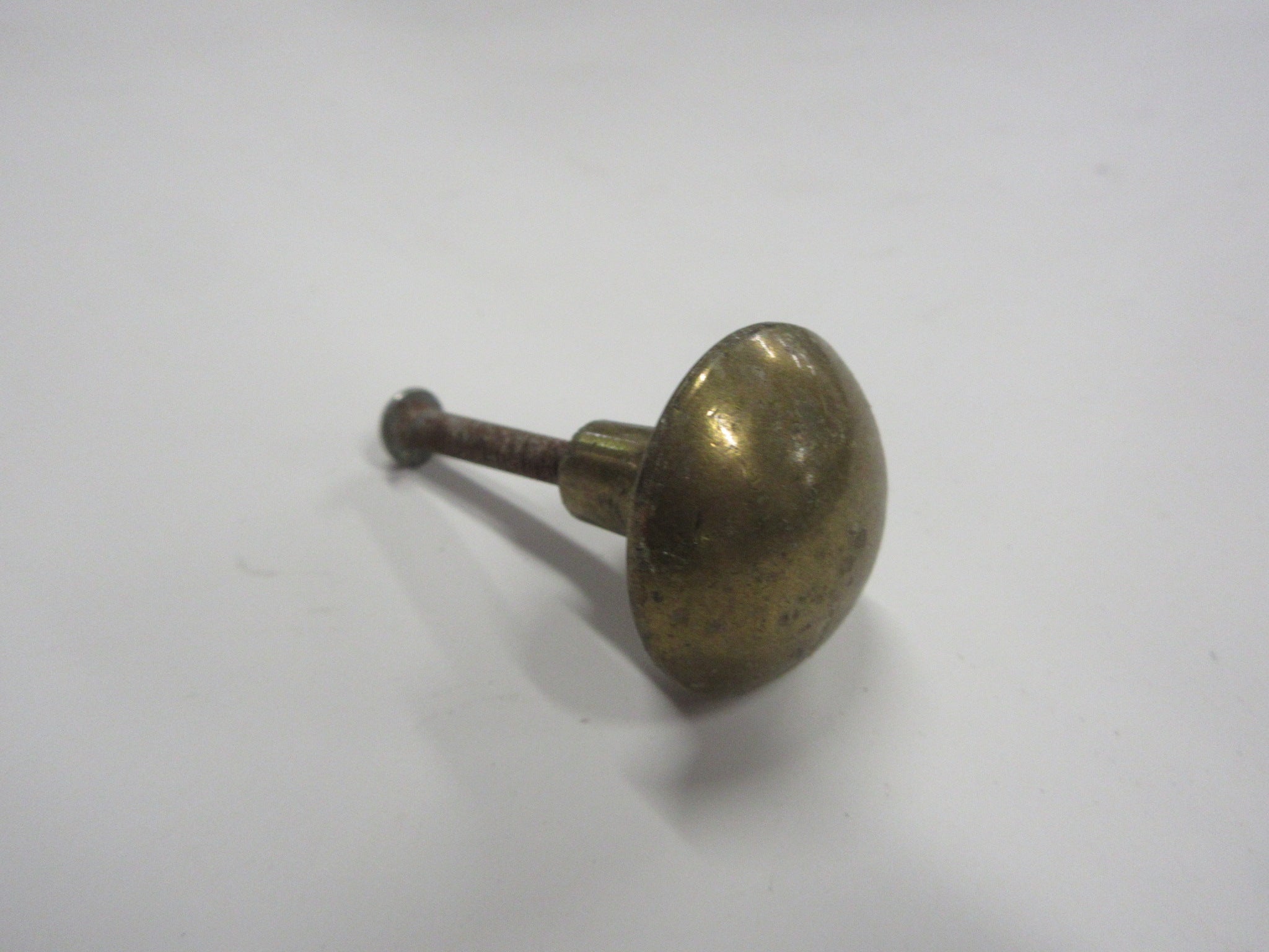 Small Brass Round Knob 1"