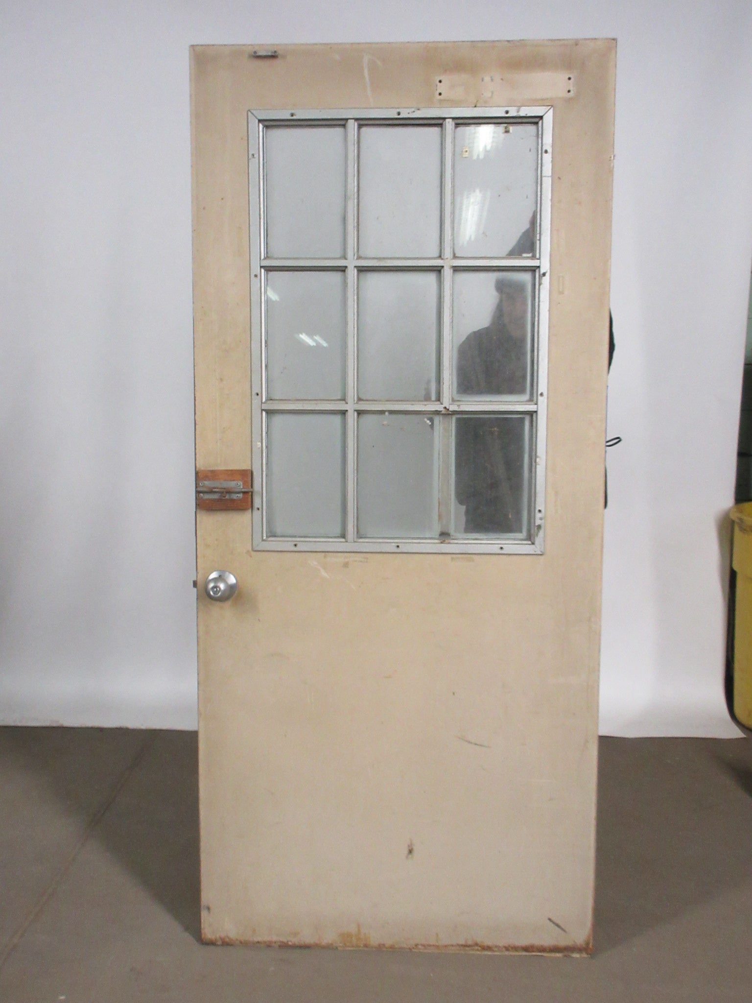 Nine Lite Metal Entry Door