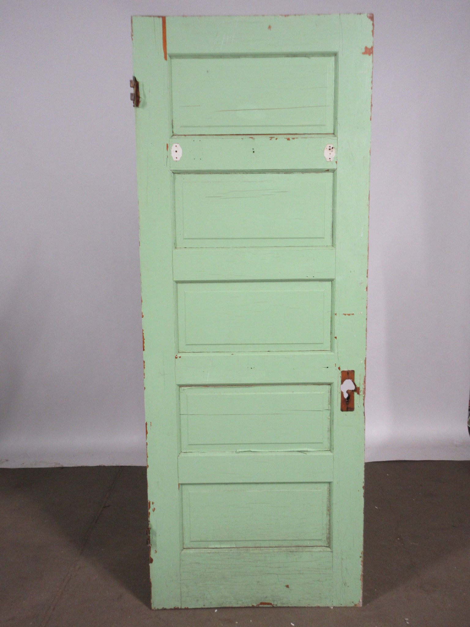 Painted Five Panel Interior Door