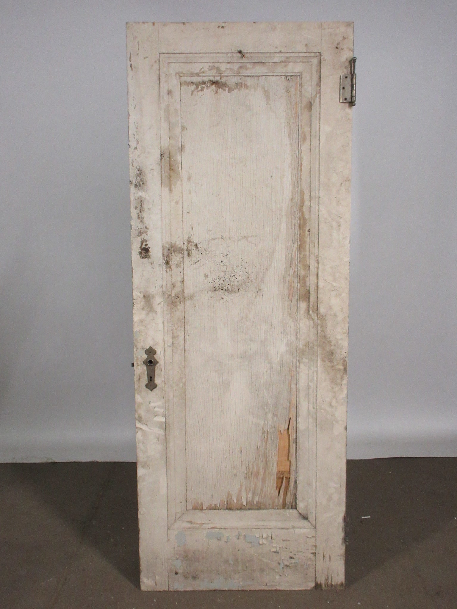 Single Panel Interior Door