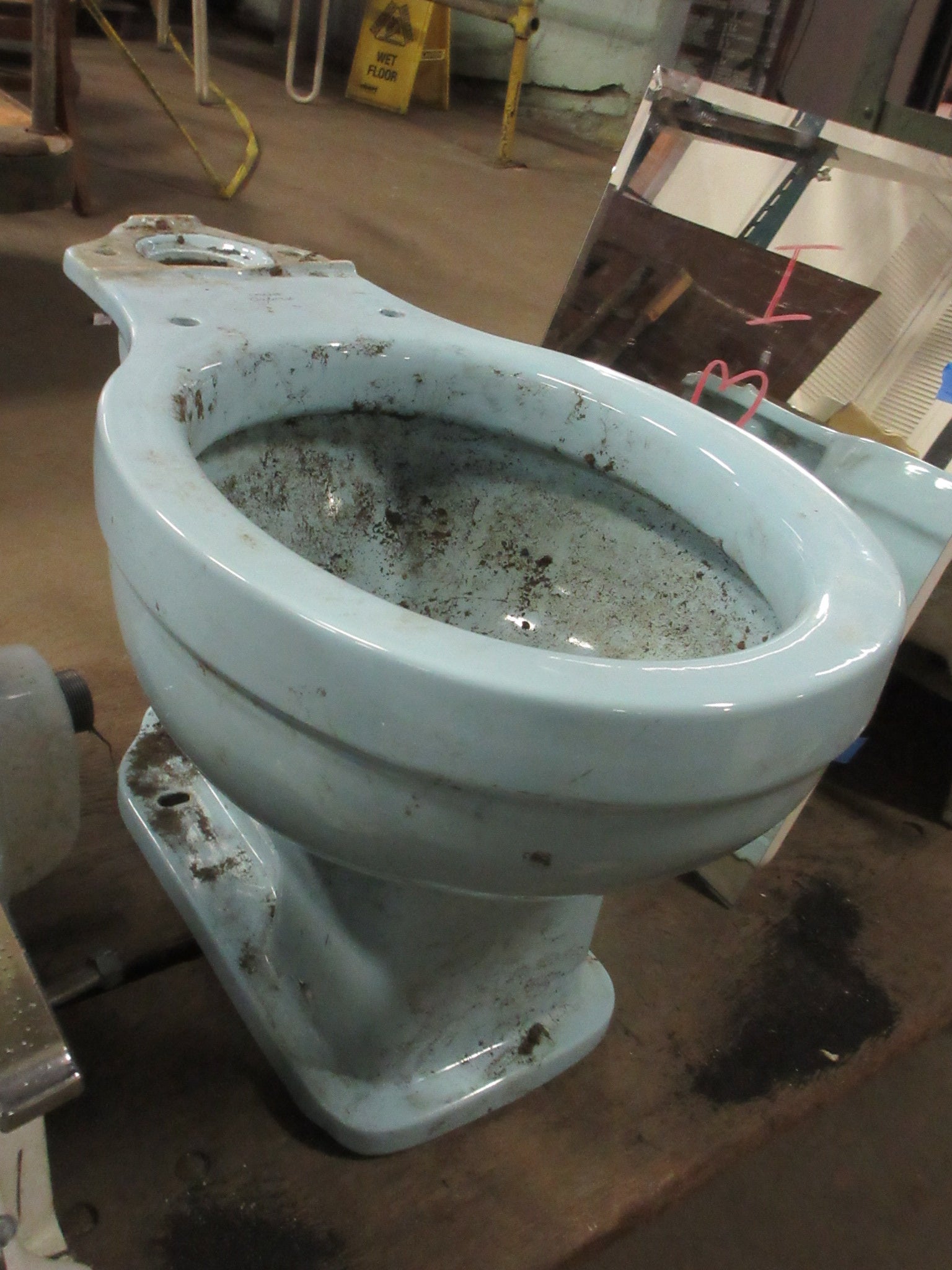 Blue Crane Oxford Toilet